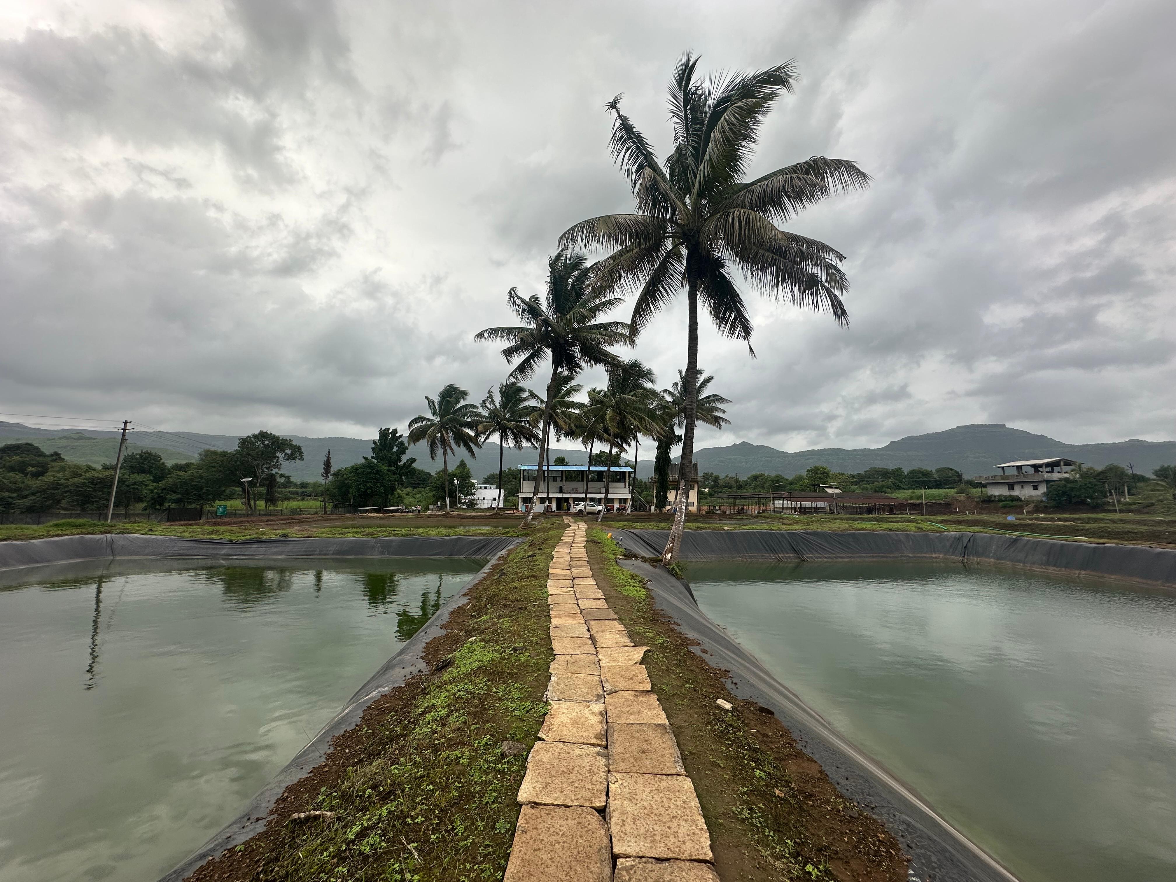 Dhom Fish Seed Production Centre